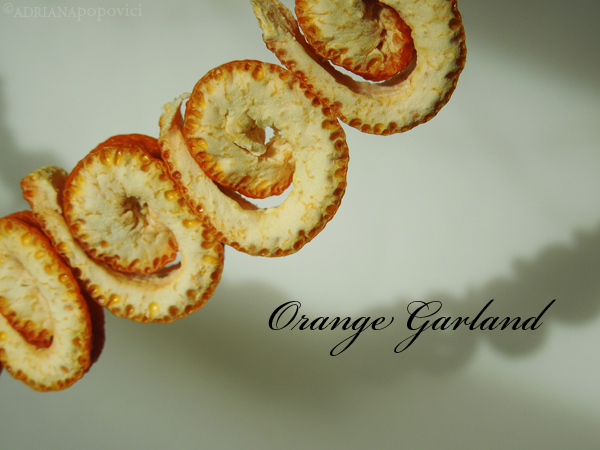 Orange Peel Garland